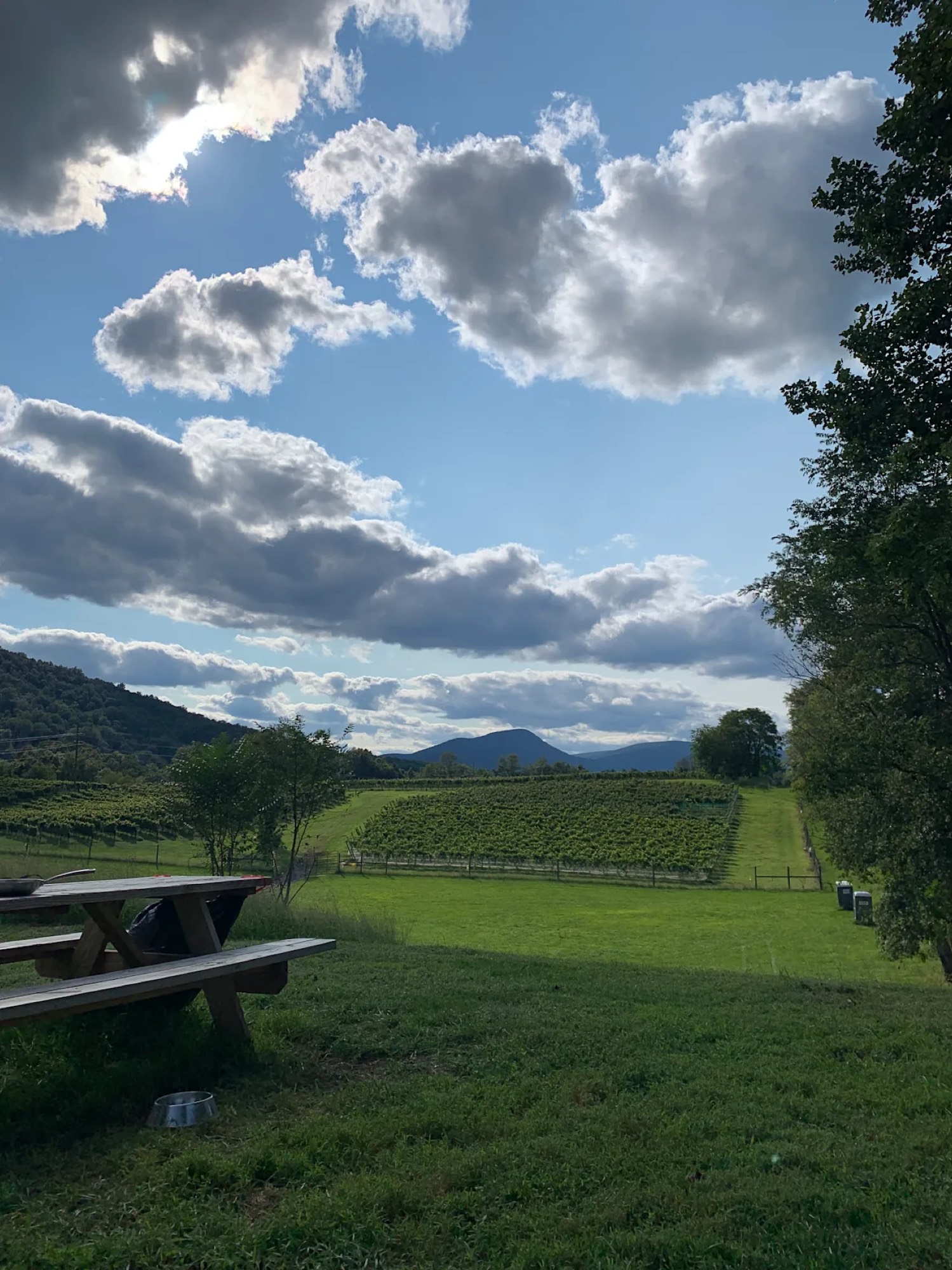 A picnic table on the property under a dramatic Virginia sky, vineyard rows and Blue Ridge in the distance