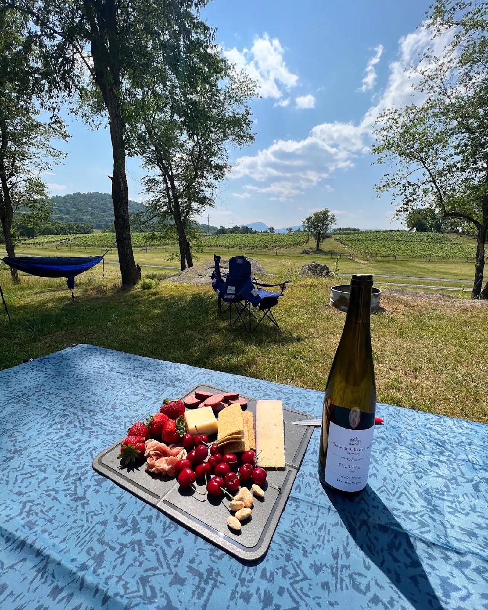 A picnic table with a wine bottle and cheese board, hammock in background, vineyard view beyond