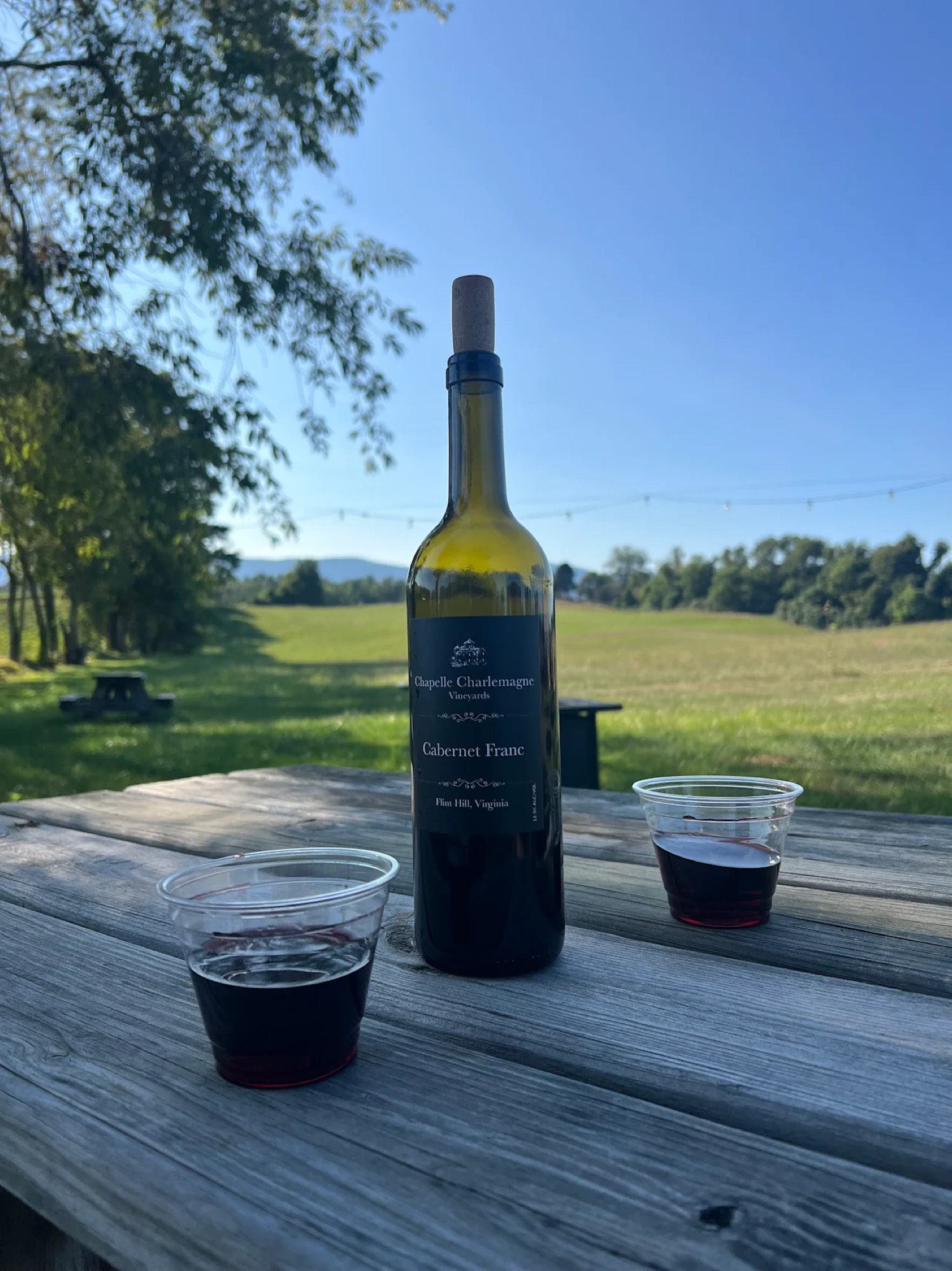 A bottle of Chapelle Charlemagne Cabernet Franc on a weathered picnic table with two cups of red wine, vineyard and Blue Ridge beyond