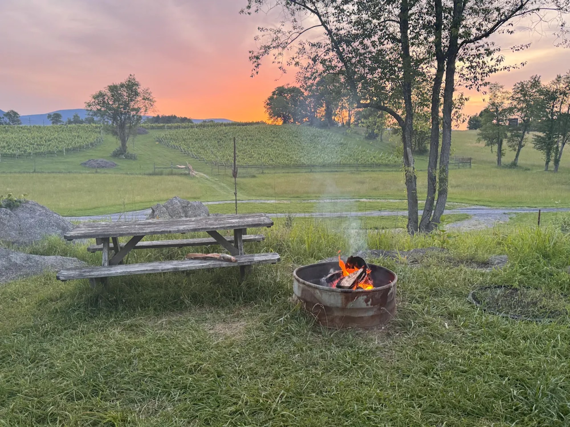 A picnic table beside a fire pit at golden hour, vineyard and mountains in the background